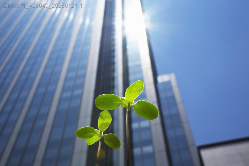 小坪數大智慧：揭秘我如何在狹小空間中活出綠色生活秘籍